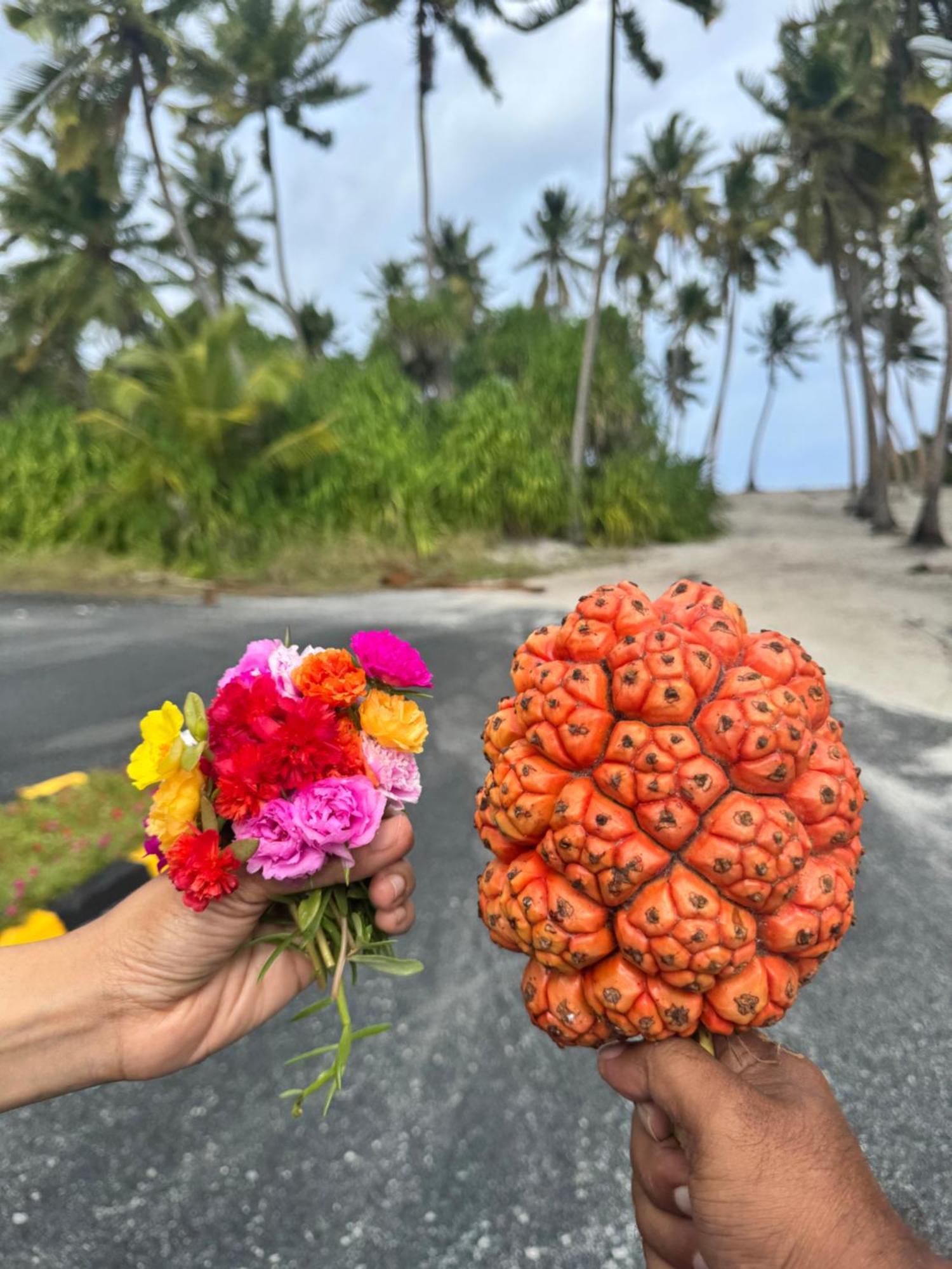 Endhaa, Divers Home Fuvahmulah Kültér fotó